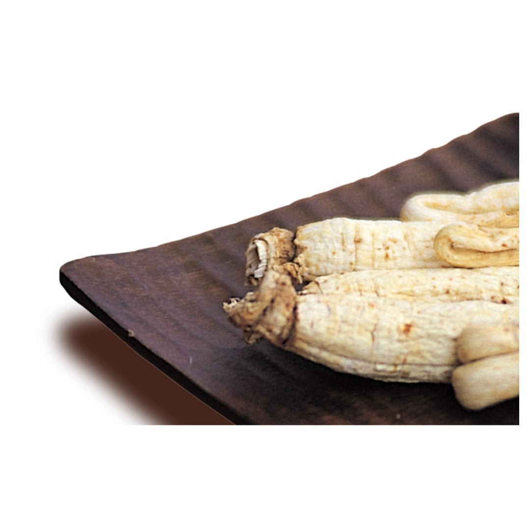 경옥고와 관련된 사진입니다.