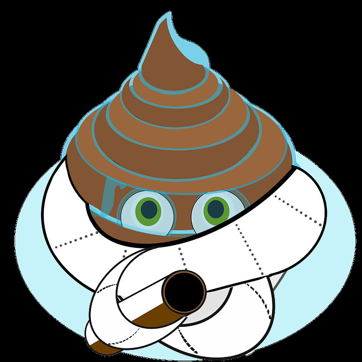 똥 변기 화장실 응가 대변 오줌