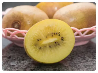 골드키위 효능 부작용_18
