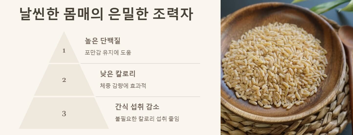 카무트 효소 효능 먹는법