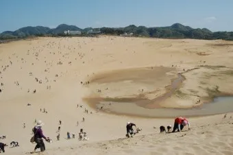 일본 돗토리 여행코스 3박 4일 일정 및 필수 관광지 추천_21