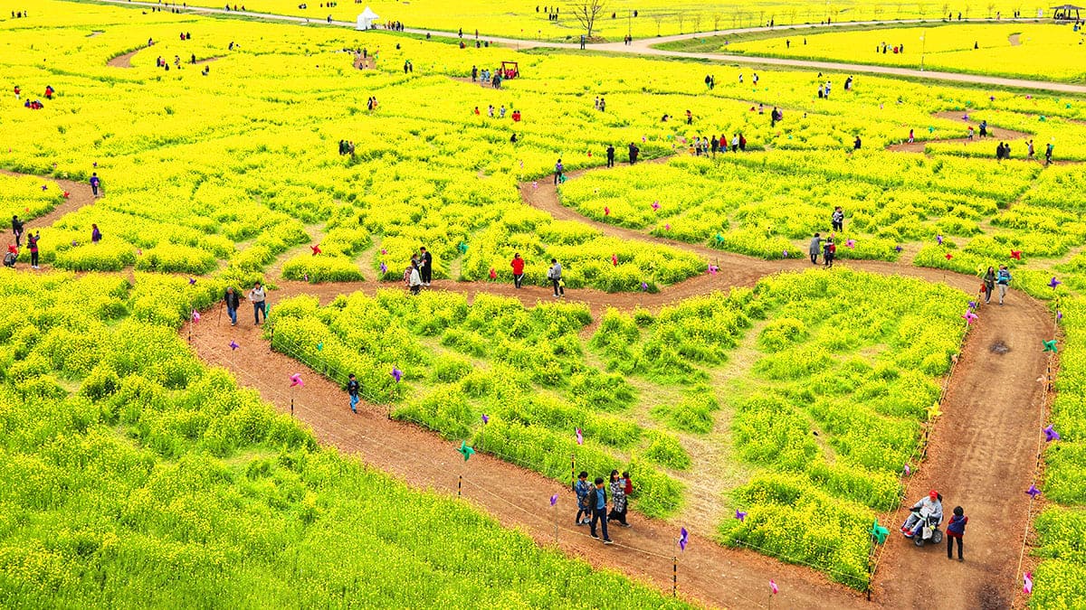 4월 부산 봄나들이 데이트 추천 명소 가볼만한곳 TOP 05