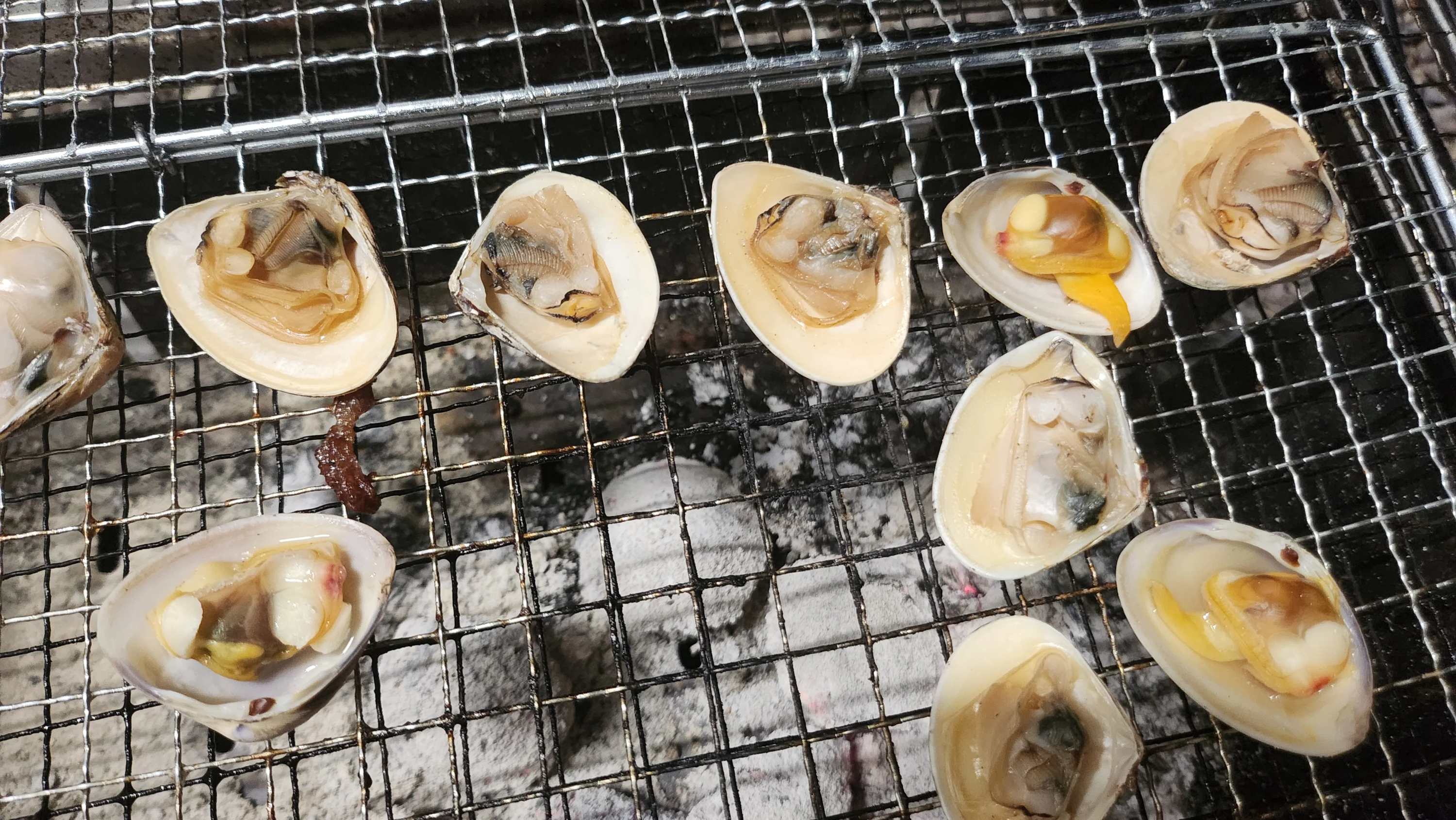 직접 캔 조개구이