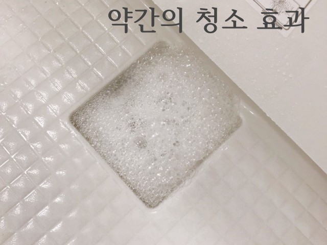 샤워기 청소 비법, 하수구 청소, 세균 살균 소독