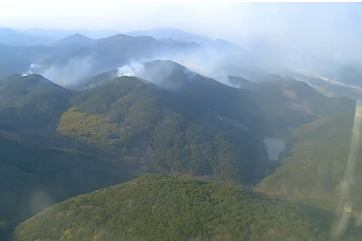 미래를 심는 마음, 유한킴벌리 ‘2025 신혼부부 나무심기’