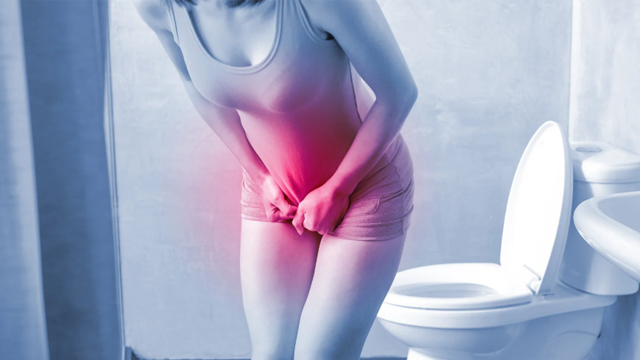 “요실금”보다 더 흔한 ‘은근한 방광 불편감’, 중년 여성의 방광 건강