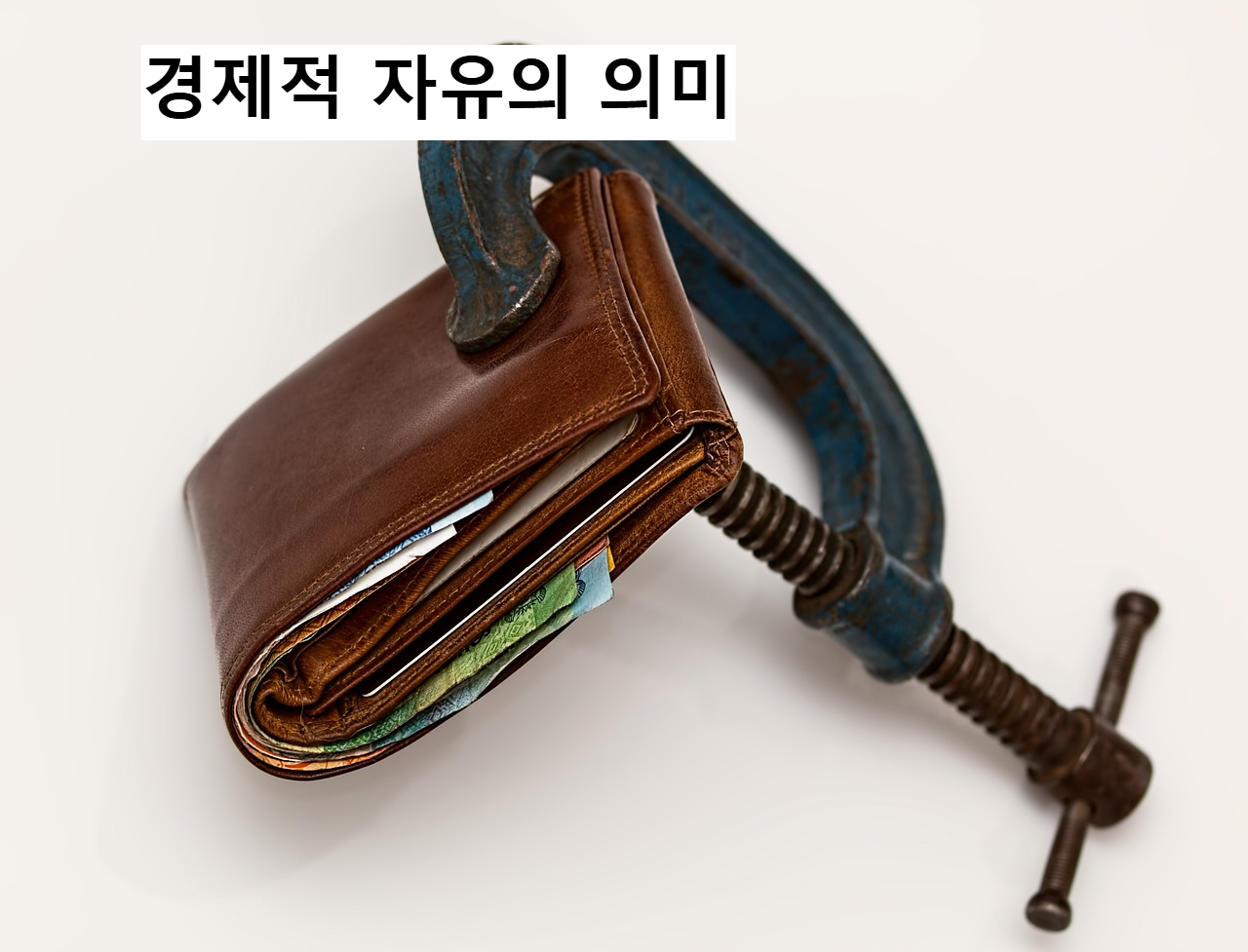 억압된 경제적 자유 비유 사진