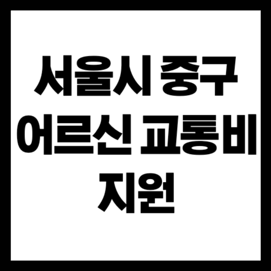 서울시 중구 어르신 교통비 지원