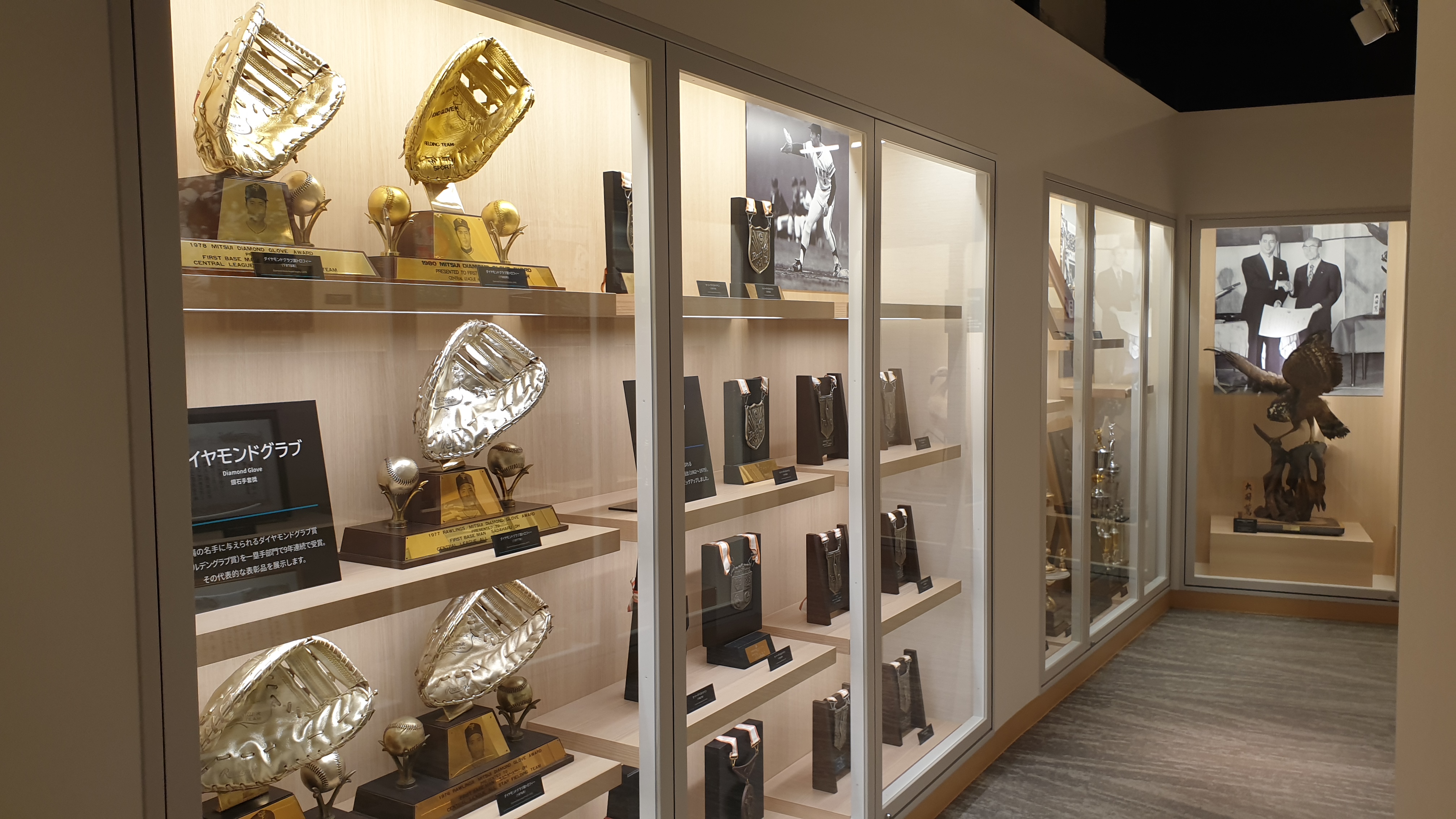 골든글러브 및 트로피의 모습