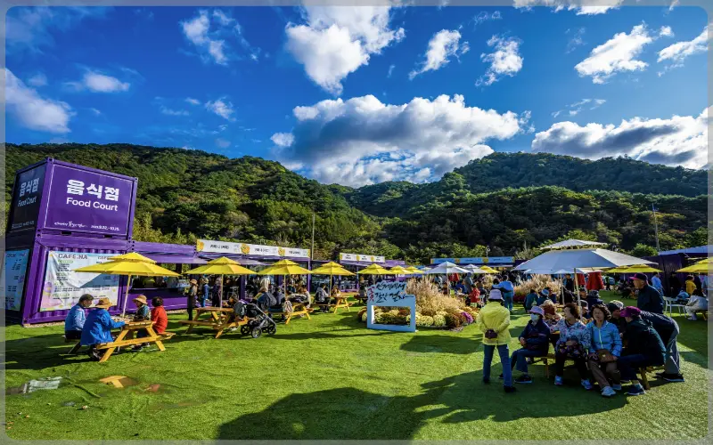 인제 가을꽃축제_17