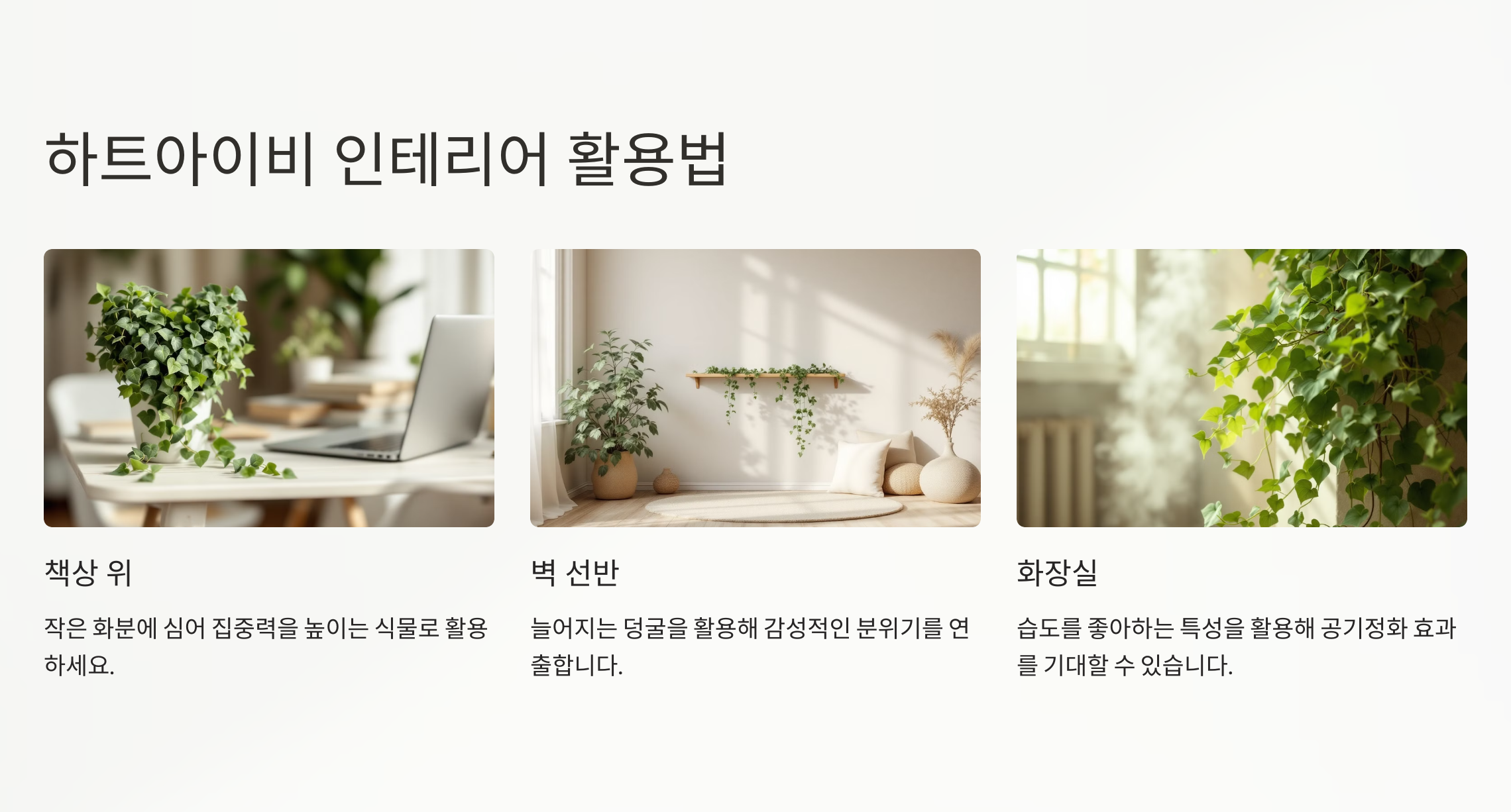 하트아이비 인테리어 활용 사진