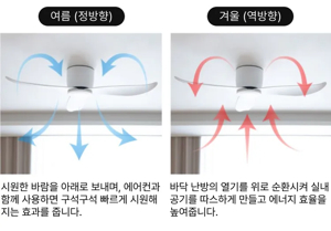 실링팬조명