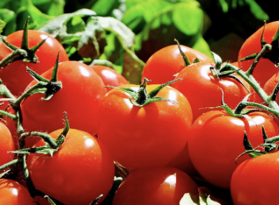 멜라토닌 많은 음식 25