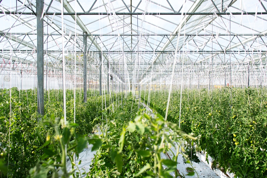 agriculture