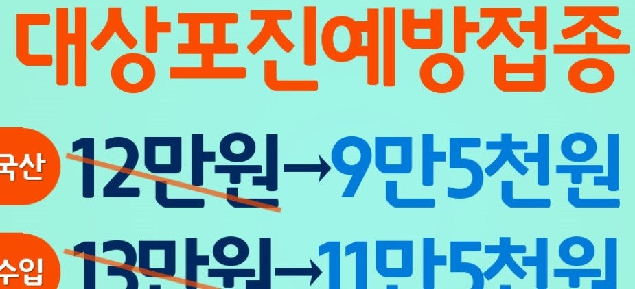 대상포진예방접종