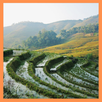 농어민공익수당 신청