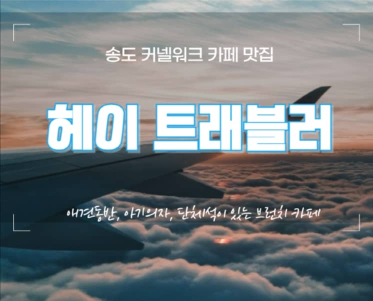 송도 헤이트래블러