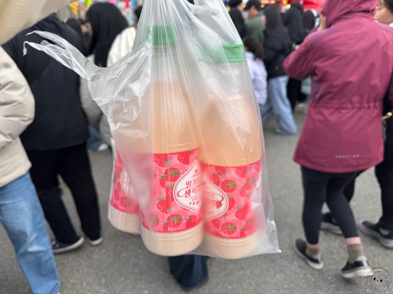 비닐봉지에 담긴 딸기 생막걸리를 들고 있는 모습.