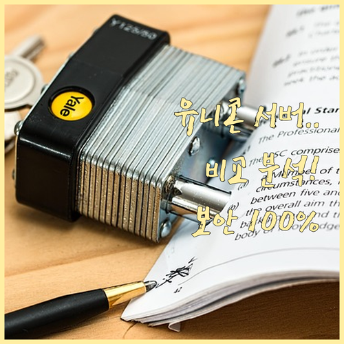 유니콘 HTTPS 추천 서버 비교와 ..