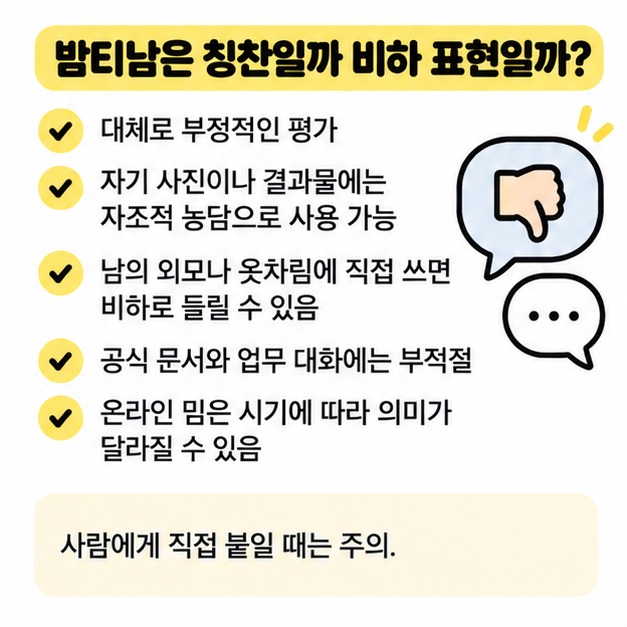 밤티남이 칭찬보다 부정적 평가에 가까워 사용 맥락을 주의해야 한다는 이미지