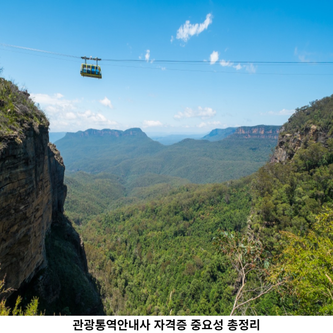 자격증 취득 방법