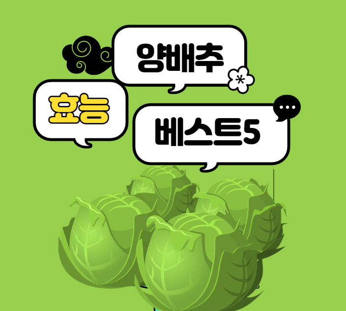 양배추효능