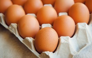 아연 많은 음식