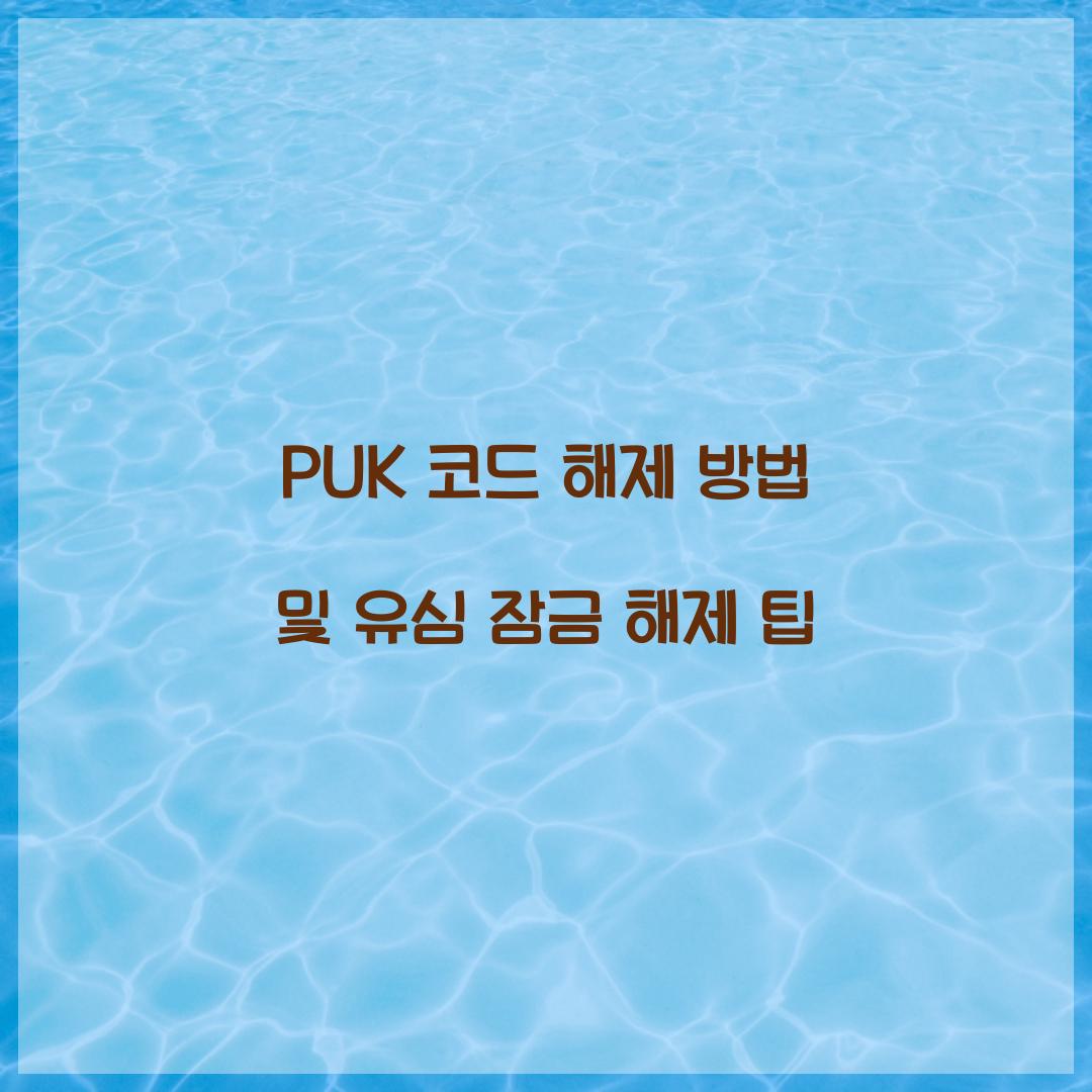 PUK 코드 해제 방법