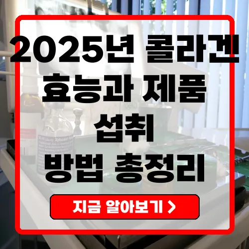 2025년 콜라겐 제품과 효능, 올바른 섭취 방법 총정리