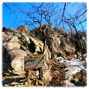 죽도봉