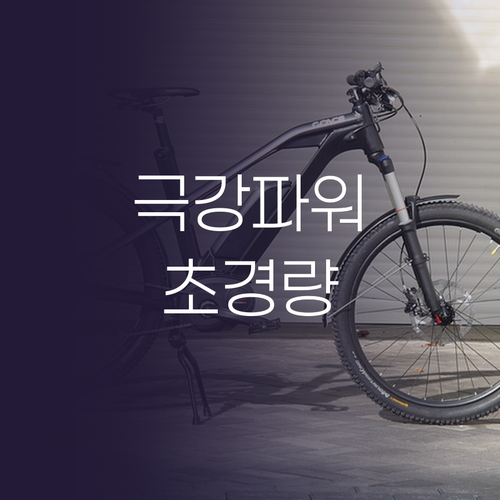 내 라이딩 스타일에 딱 맞는 전기자전..