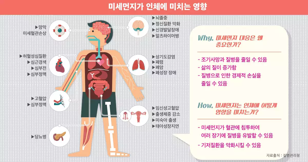 미세먼지가 인체에 미치는 영향