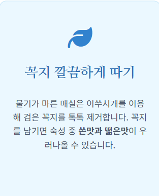 매실 장아찌 아삭하게담는법