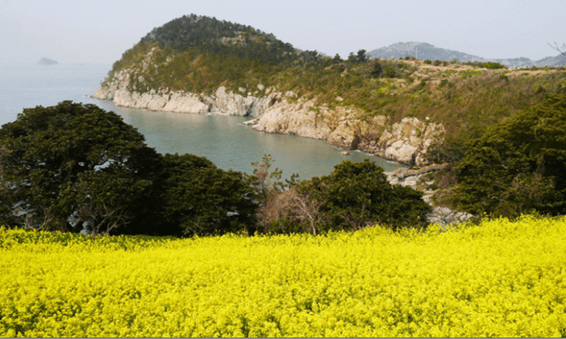 여수 금오도 비렁길 3코스 가는 방법