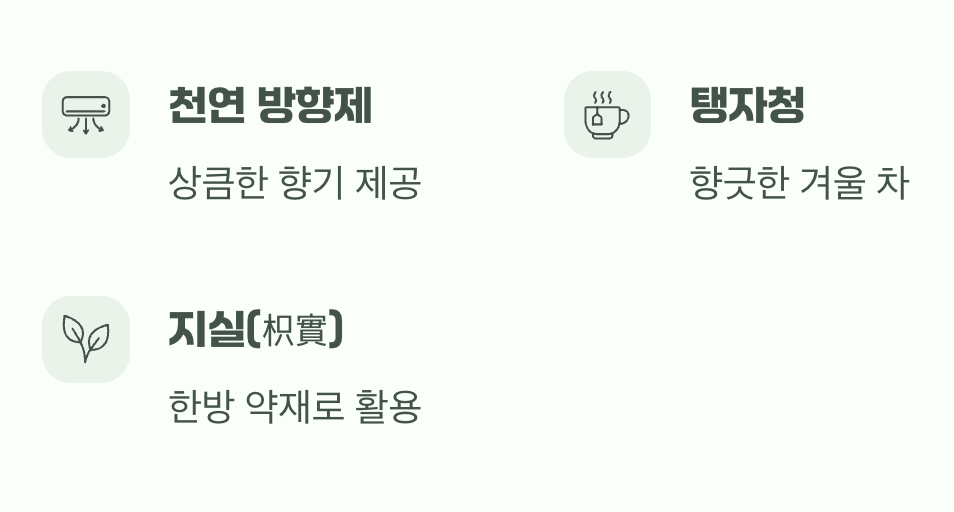 가시 뒤에 숨겨진 향기로운 선물