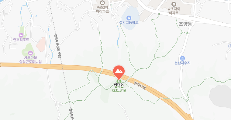 위치 지도 캡처 사진