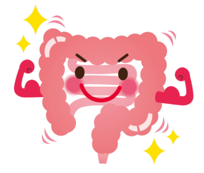 튼튼한 장 그림