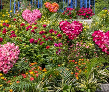 2025 서울국제정원박람회