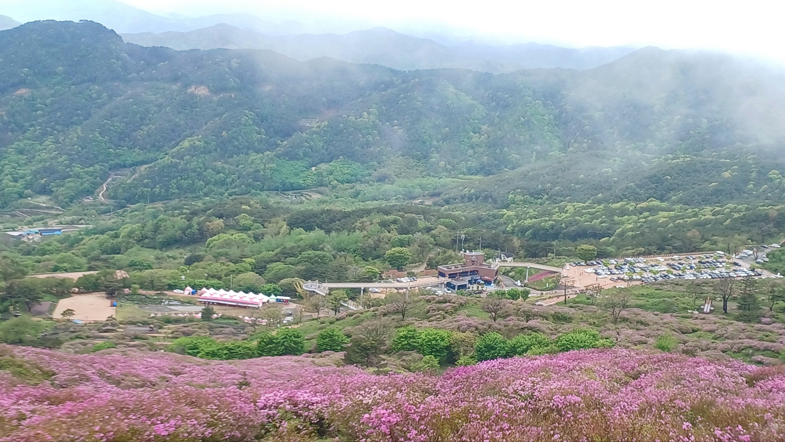 합천 황매산 철쭉38