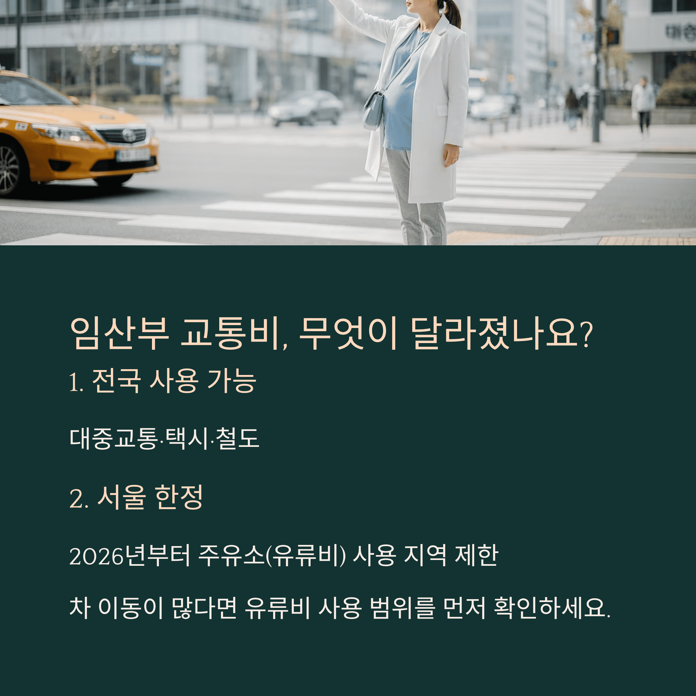 임산부 교통비, 무엇이 달라졌나