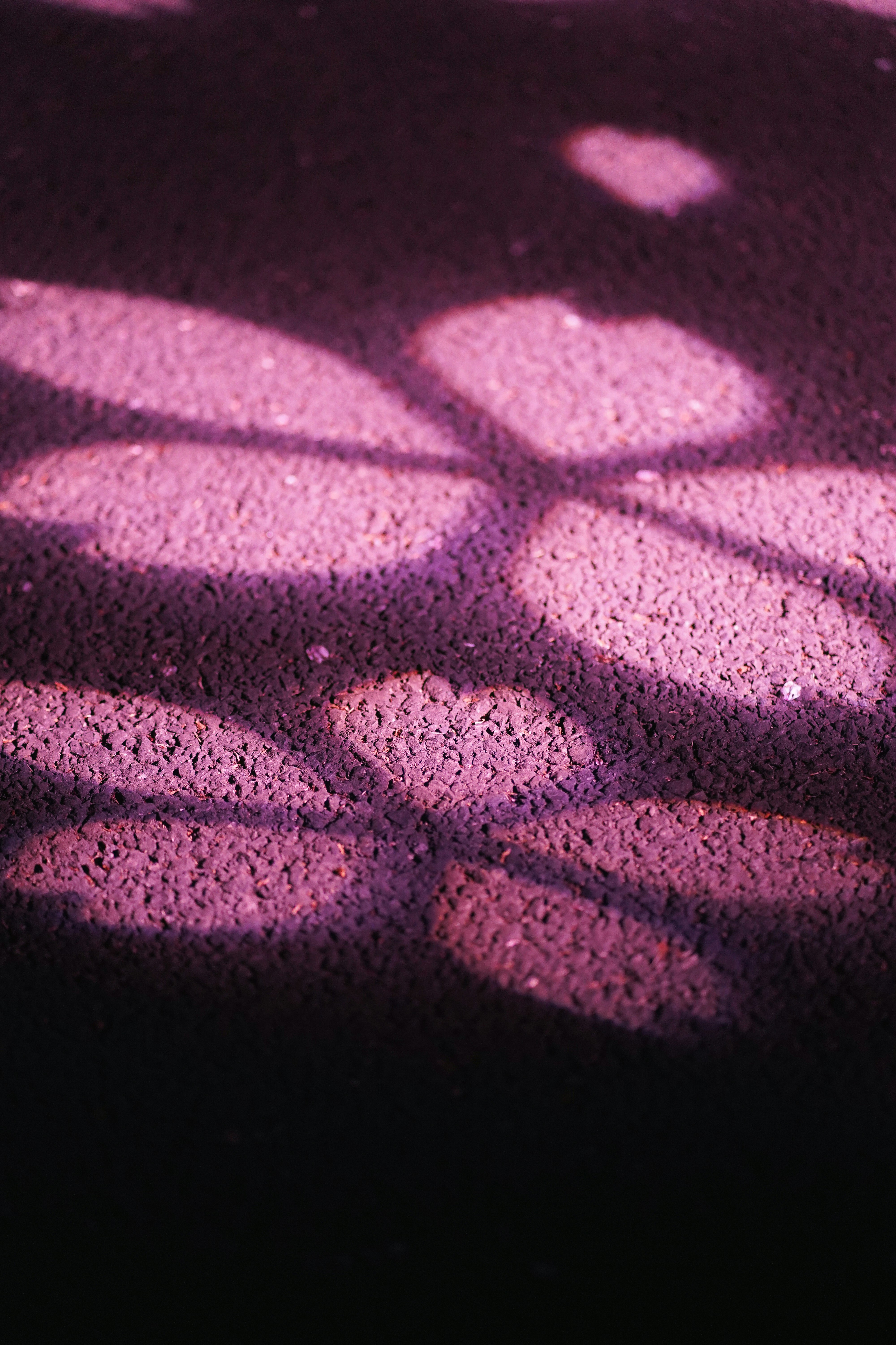 벚꽃 조명 사진