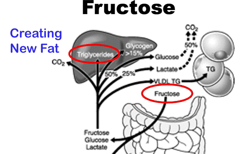 지방간 없애는 방법