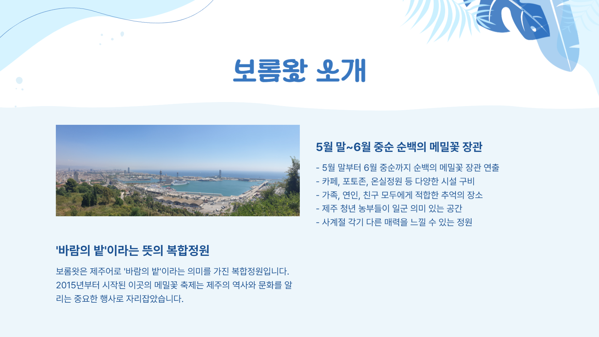제주 보롬왓 메밀축제