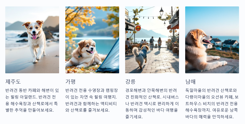 반려동물과 떠나는 특별한 국내여행
