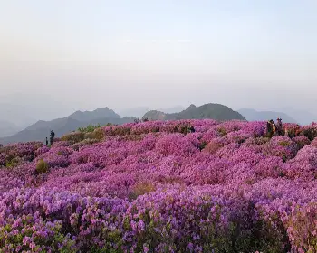 황매산 오토캠핑장_8