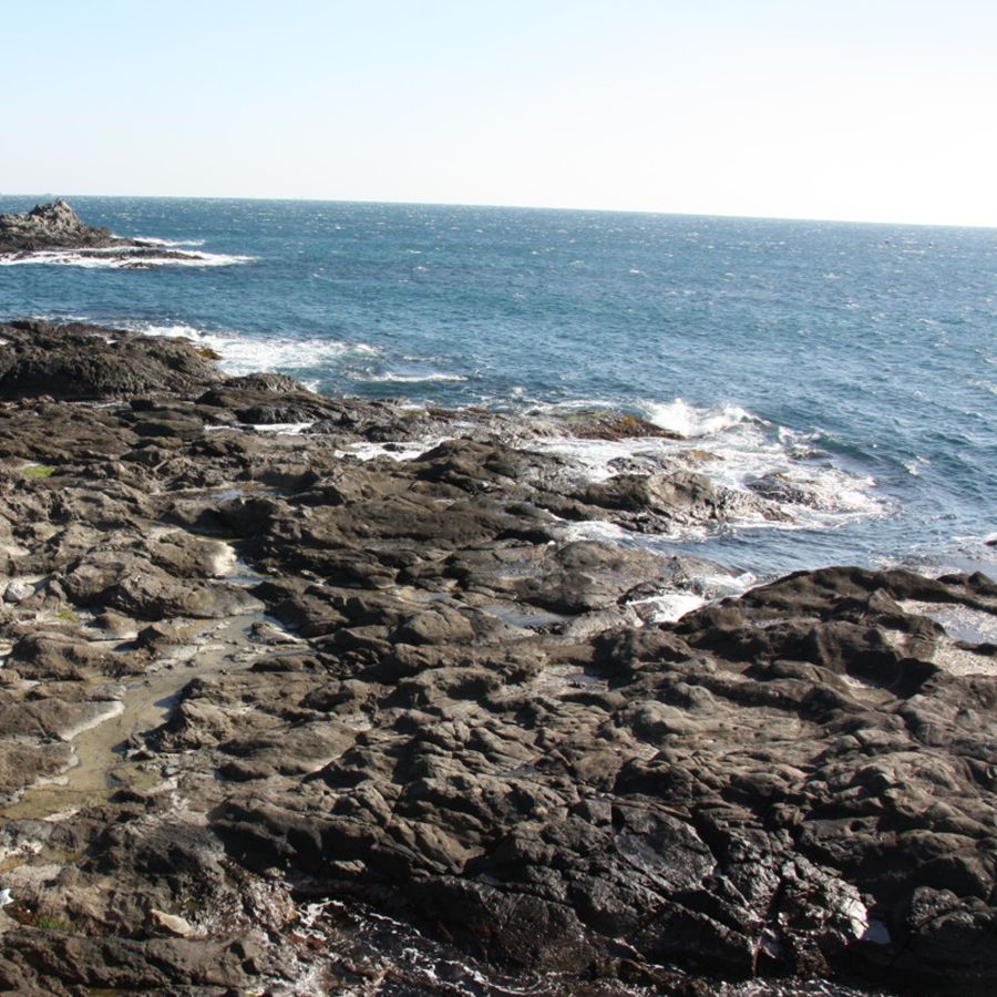 장길리복합낚시공원