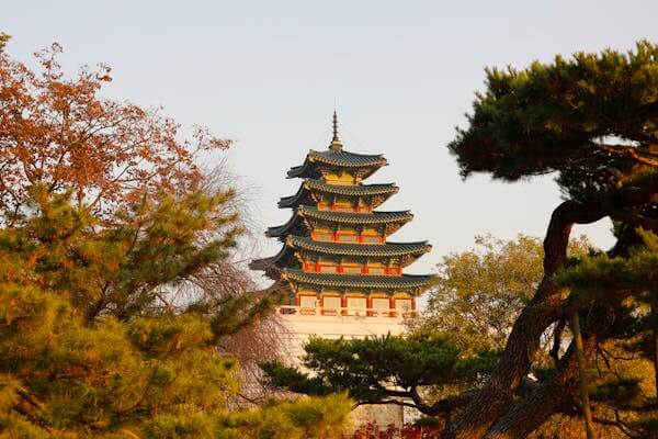 경복궁 야간개장 예매 방법 / 경복궁 별빛야행 행사안내