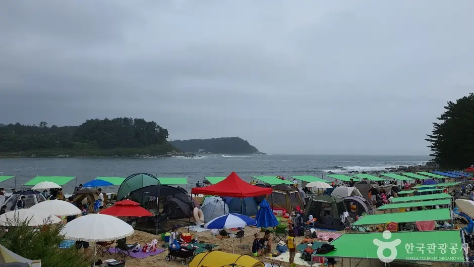 98066e99-2695-42a1-9767-2cdad7865fea