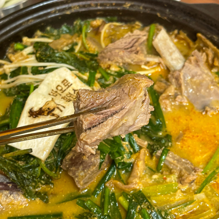 생생정보 서울 흑염소 맛집 위치 및 정보(흑염소갈비수육 vs 흑염소갈비전골) & 생생정보 홍어 엄마 은희네 홍어무침 정보