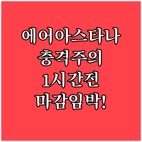 에어아스타나 국제선 체크인 24시간 ..